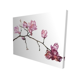 Branch of cherry blossoms