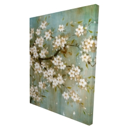 White cherry blossom