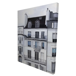 Buildings along the seine river