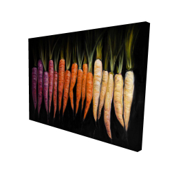 Colorful carrots