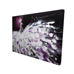 Paon violet