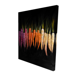 Colorful carrots