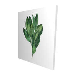 Bouquet de feuilles de laurier
