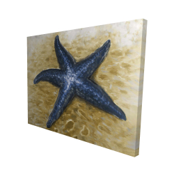 Belle étoile de mer