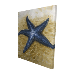 Belle étoile de mer