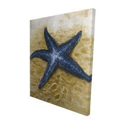 Beautiful starfish