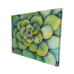 Succulent à l'aquarelle
