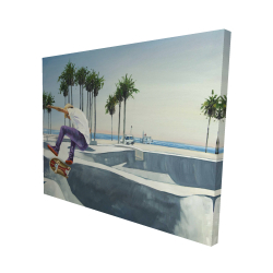 Skate park california