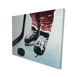 Young hockey player
