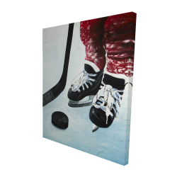 Young hockey player