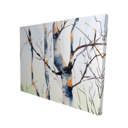 Three small birch trees