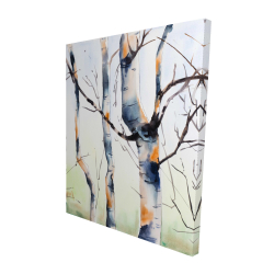 Three small birch trees