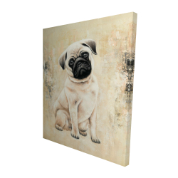 Small pug dog