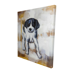 Chiot curieux
