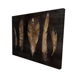 Brown feather set