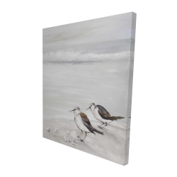 Deux oiseaux bécasseau