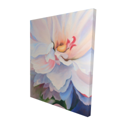 Fleur aux teintes pastel