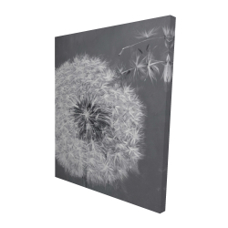 Blowing dandelion