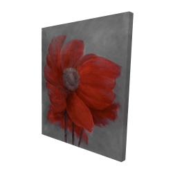 Fleur rouge dans le vent