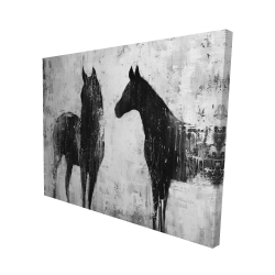 Chevaux blancs et noirs