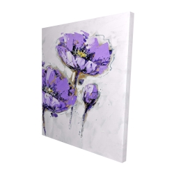 Anémones mauves