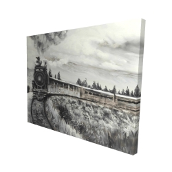 Steam engine train