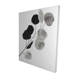 Branche en tons de gris et feuilles rondes