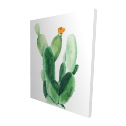 Cactus en fleuraison