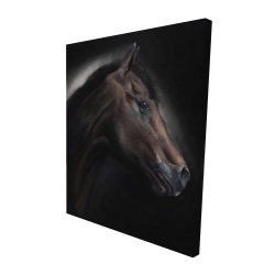 Cheval solitude