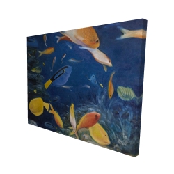 Colorful fish under the sea
