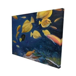 Fish under the sea