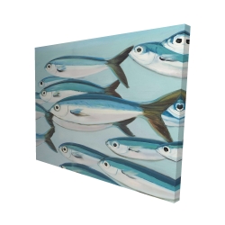 Small fish of caesio caerulaurea