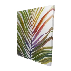 Feuille de palmier tropical