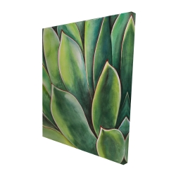 Plante d'agave à l'aquarelle