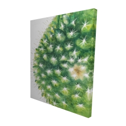 Mini cactus à l'aquarelle