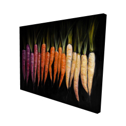 Colorful carrots