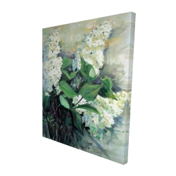 Lilas blanc