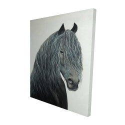 Cheval coeur sauvage