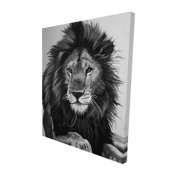Le roi lion