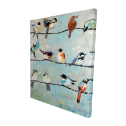 Petits oiseaux colorés