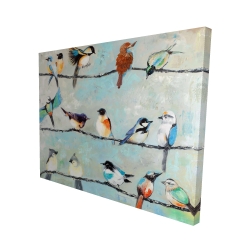 Petits oiseaux colorés
