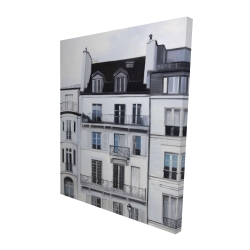 Buildings along the seine river