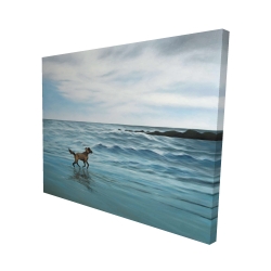 Dog on the beach