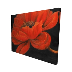 Red petal flower