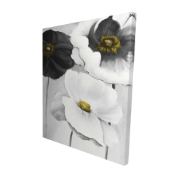 Assortiments de fleurs blanches