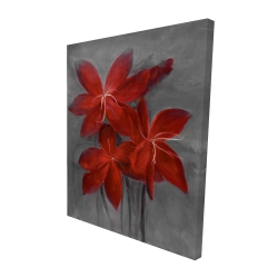 Asiatic lily