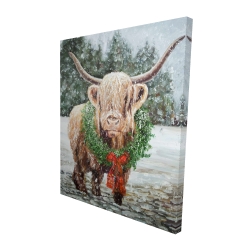 Vache highland de noël