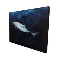 Swimming dolphin