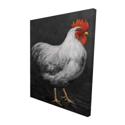 Grey rooster 2