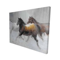 Troupeau de chevaux sauvages